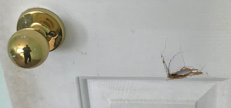 interior door hole repair Vineyard